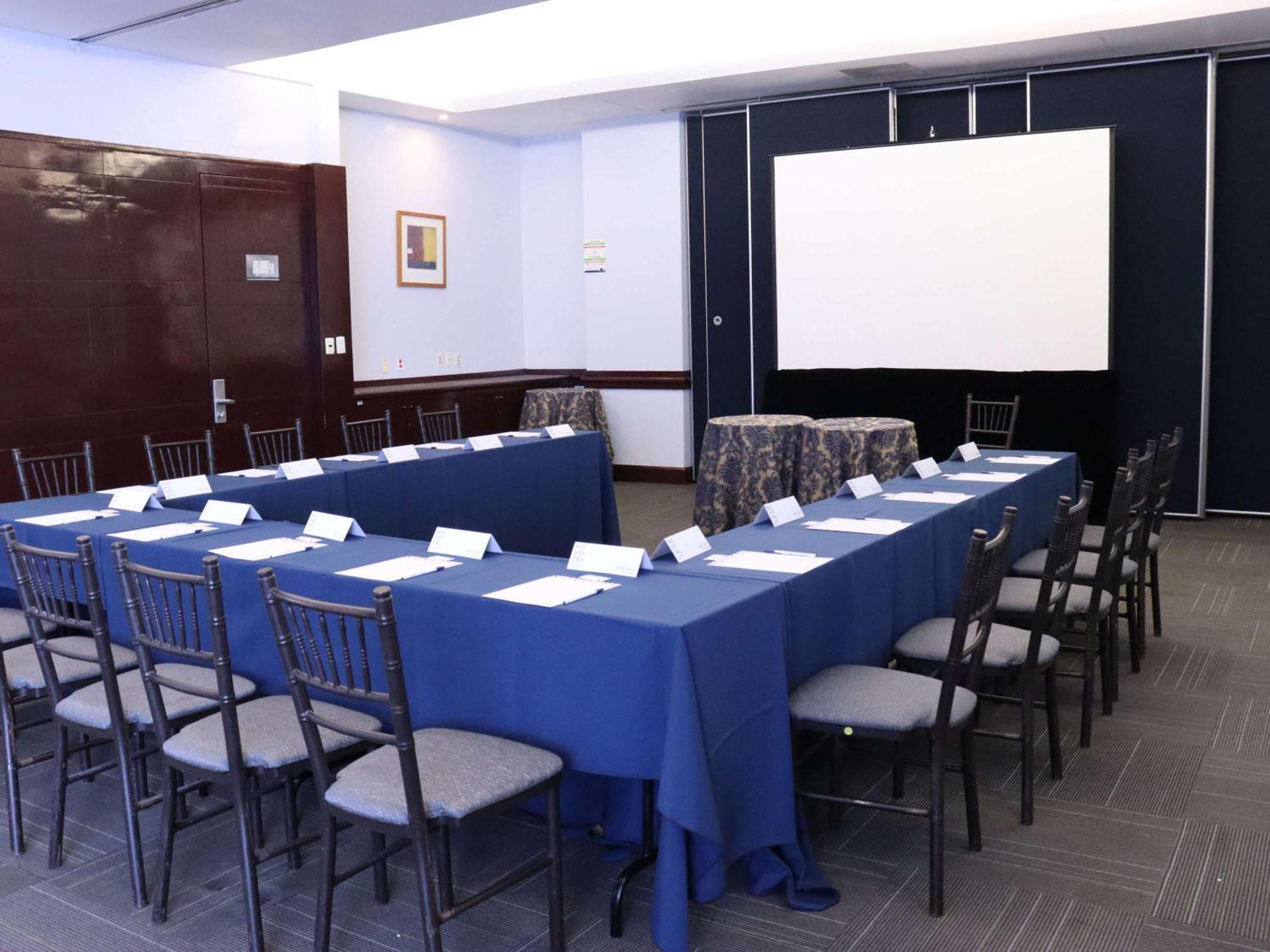 Novotel Monterrey Valle San Pedro Garza Garcia Buitenkant foto